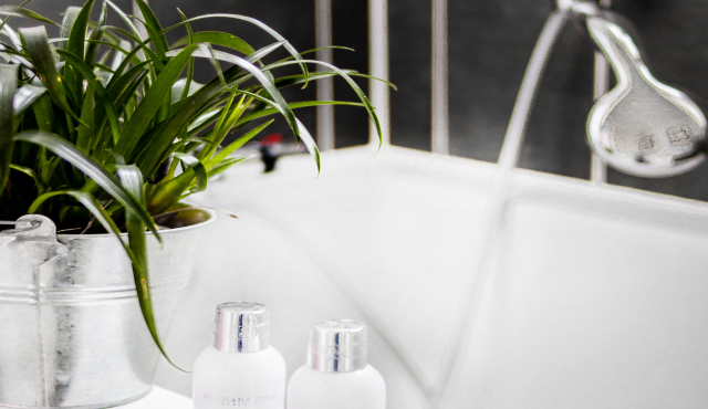 4 beste Pflanzenarten für ein fensterloses Badezimmer